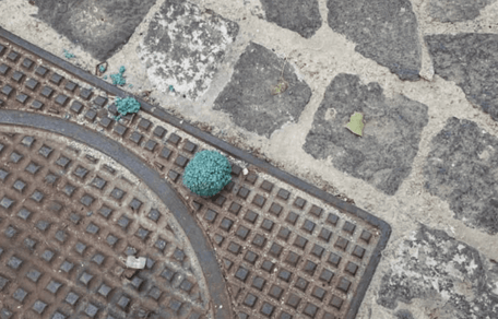 esche avvelenate per cani a Cagliari