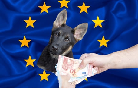 EU-Beschluss gegen illegalen Welpenhandel