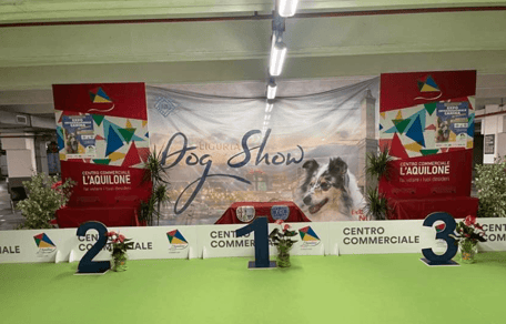 Expo Canina  Internazionale