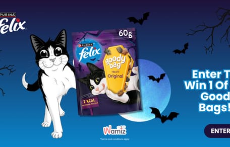 felix goody bag halloween contest