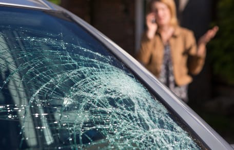 Fenêtre brisée : chien mort piégé dans une voiture