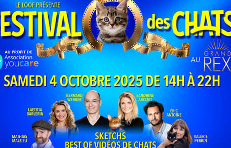 Festival des chats