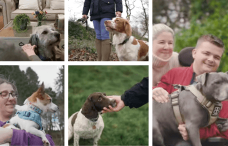 Five dogs competing for Hero Dog Awards 2026 at Crufts