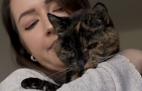 Flossie de kat Guinness World Records