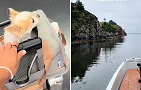 Frau macht mit Hund Urlaub in Norwegen