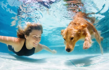 Frau und Hund im Schwimmbad