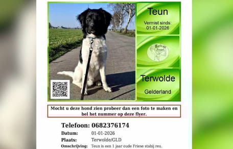 Friese Stabij Teun na nieuwsjaarsknal nog steeds vermist