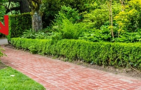 Sendero de jardín