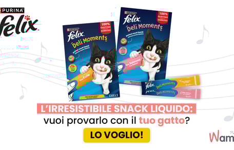 Gatto bianco e nero con Deli Moments al pollo e al salmone