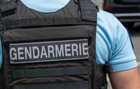 Repéré en plein soleil sur un balcon, un chien trouve refuge chez l'un de ses sauveteurs