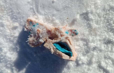 Giftköder im Schnee