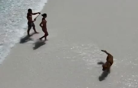 Golden i para na rajskiej plaży