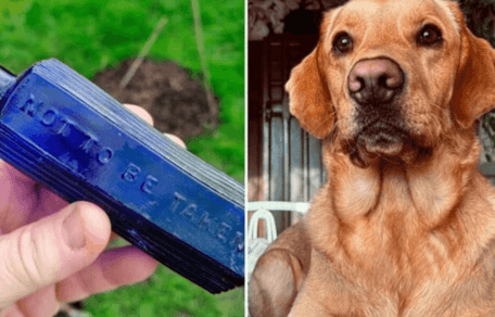 Golden Retriever with bottle of poison