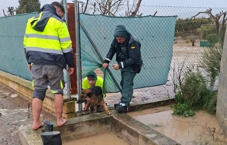 guardia-civil-rescate-perro-inundaciones