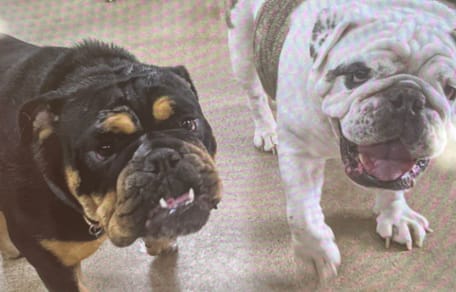 Gus et Maggie