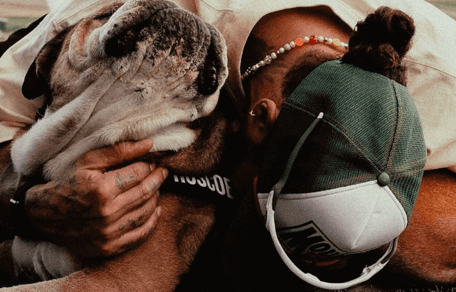 Hamilton e Roscoe