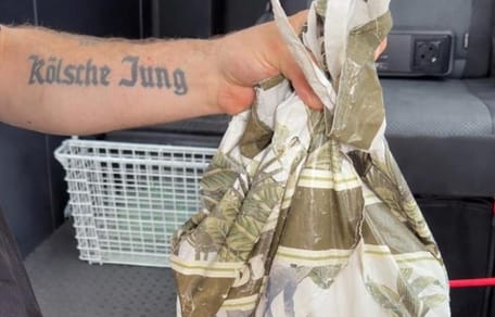 Zugeknotete Plastiktüte auf Parkplatz entdeckt: Ein leises Rascheln trifft die Finder bis ins Mark