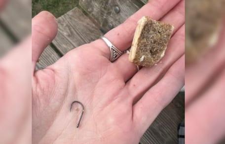 Hand holding dog treat and fish hook
