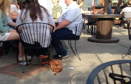 optische Täuschung treibt alle in den Wahnsinn