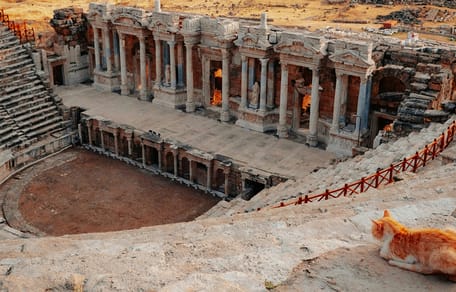 historische kattennamen