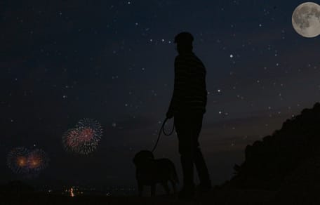 Hoe kom je goed oud en nieuw door met je hond of kat?