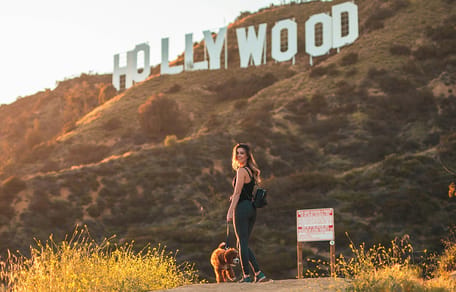 hollywood hondennamen
