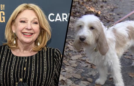 Hond Filou van Janny van der Heijden moest naar dierenarts