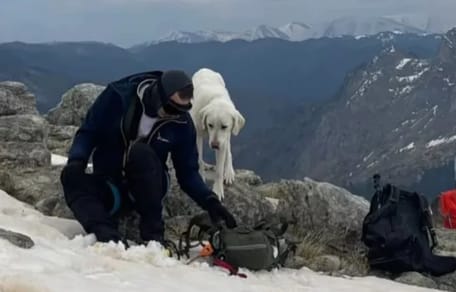 Hond in Griekenland na 7 dagen gered van bergtop
