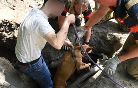 Hond in Leiderdorp wordt uitgegraven door brandweer