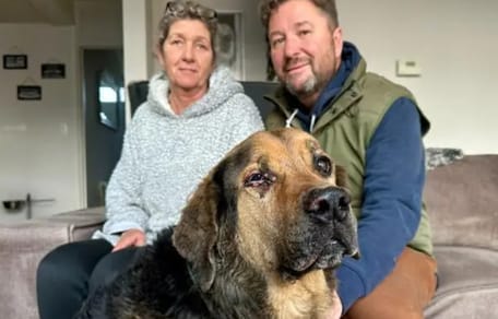 Hond Kaz vat vlam bij sfeerhaard