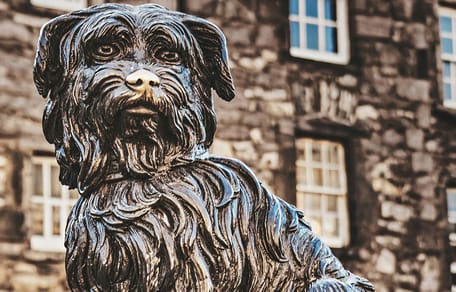 hond mee naar Schotland