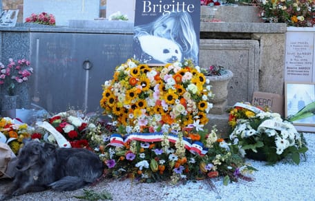 Hond naast graf van dierenvriend Brigitte Bardot