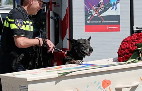 Hund nimmt auf eigene Weise Abschied von Herrchen