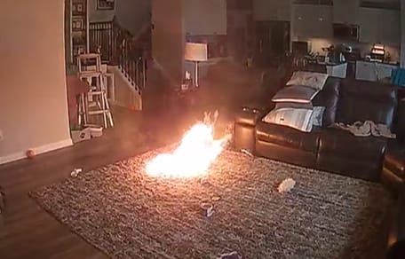 Hond veroorzaakt brand door op batterij te kauwen