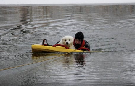 Hond zakt door het ijs in Oss