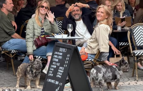 Honden in Antwerpen gaan op kroegentocht