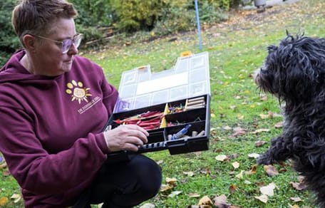 Honden van vuurwerkangst afhelpen door middel van EMDR therapie