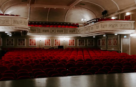 Iconische hondennamen uit musicals: de 25 leukste namen voor jouw viervoeter