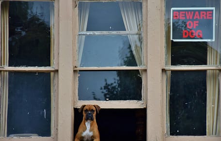 hondennamen voor waakhonden