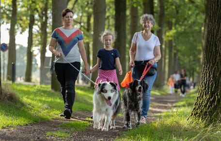 Hondenvoorhondenloop 2026