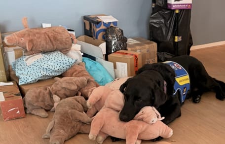 Hulphond Entli krijgt zelfs knuffels uit Argentinië