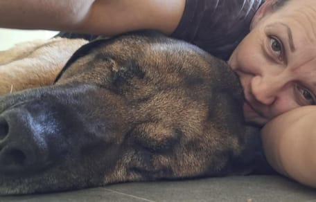 Hund Douman braucht ein Weihnachtswunder