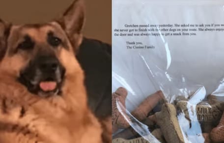 Hund hinterlässt Nachricht an Postbote