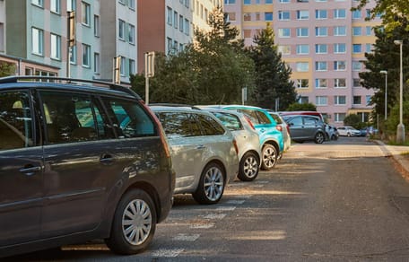 Hund tagelang in Kofferraum gesperrt
