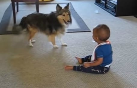 Cane e bambino