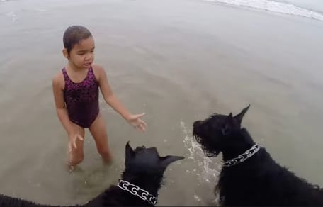 Hund und Kind am Strand