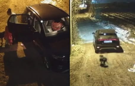 Hund wird aus Auto geworfen