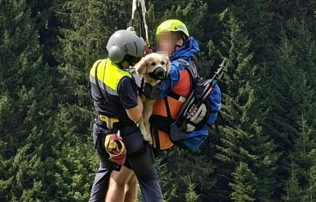 Hund wird nach 40-Meter-Sturz gerettet
