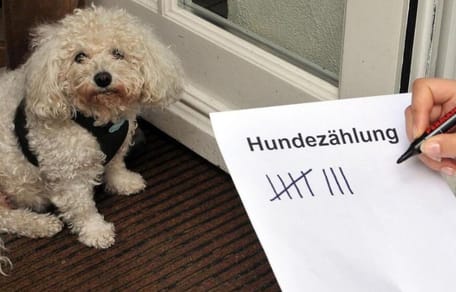 Hunde-Kontrolleur mit Strichliste