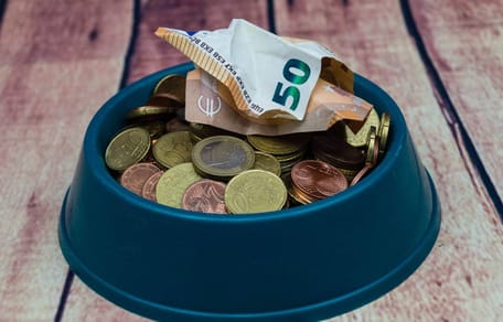 Hundenapf mit Geld darin